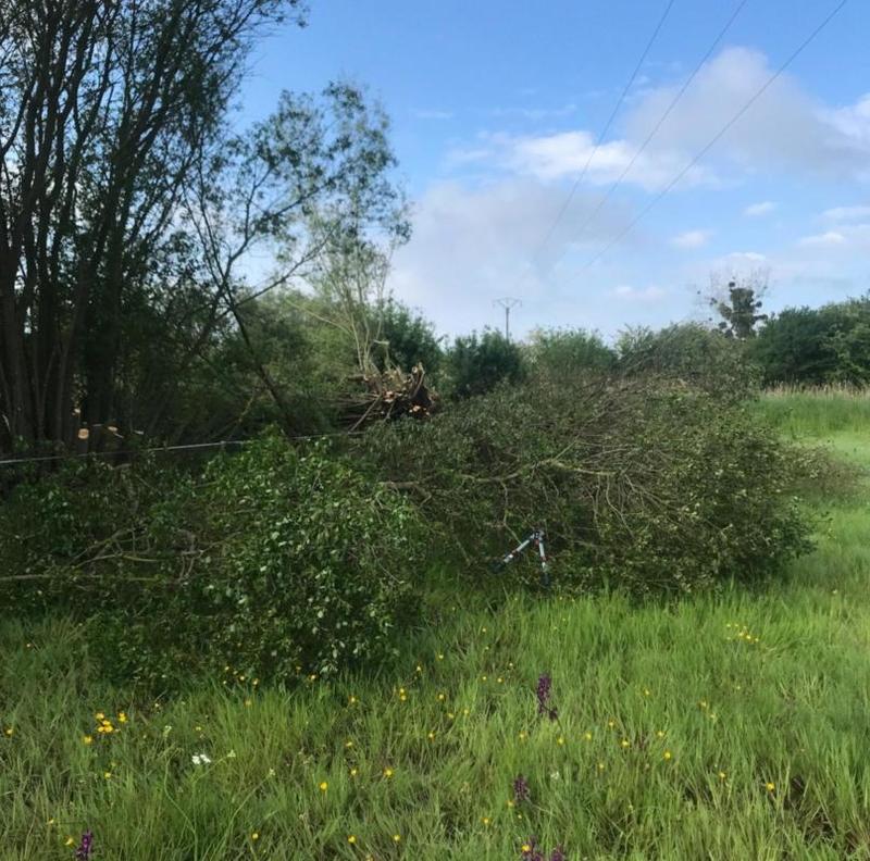 Terrain agricole - 12 500 m²