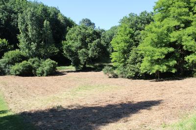 Terrain agricole - 2 000 m²