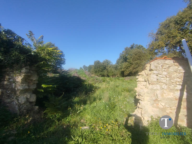 Maison ancienne - 230 m² - 6 pièces