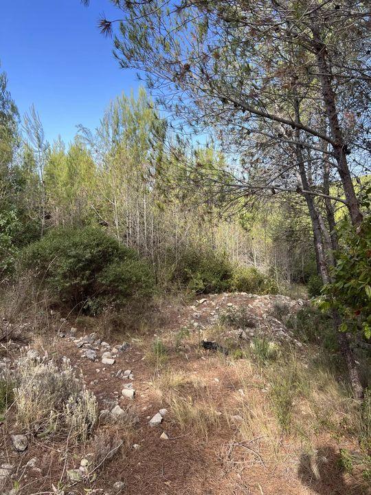 Terrain de loisirs - 2 006 m²