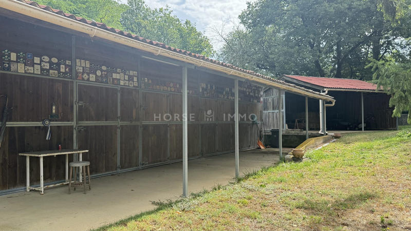 Maison - 300 m² - 8 pièces