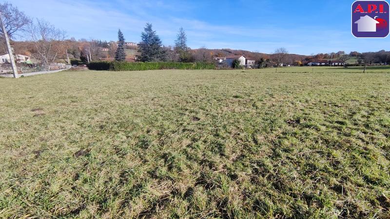 Terrain - 1 036 m²