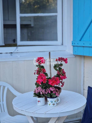 Maison ancienne - 100 m² - 5 pièces