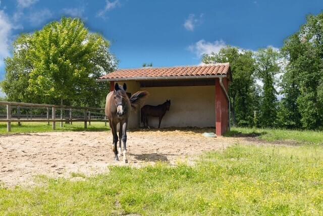 Propriété - 424 m² - 10 pièces