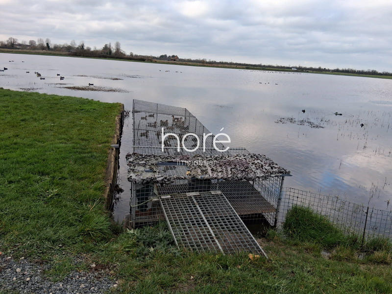 Terrain de loisirs - 87 559 m²