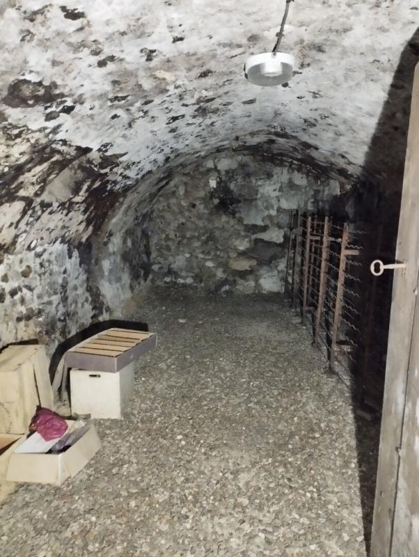 Hôtel particulier - 420 m² - 14 pièces