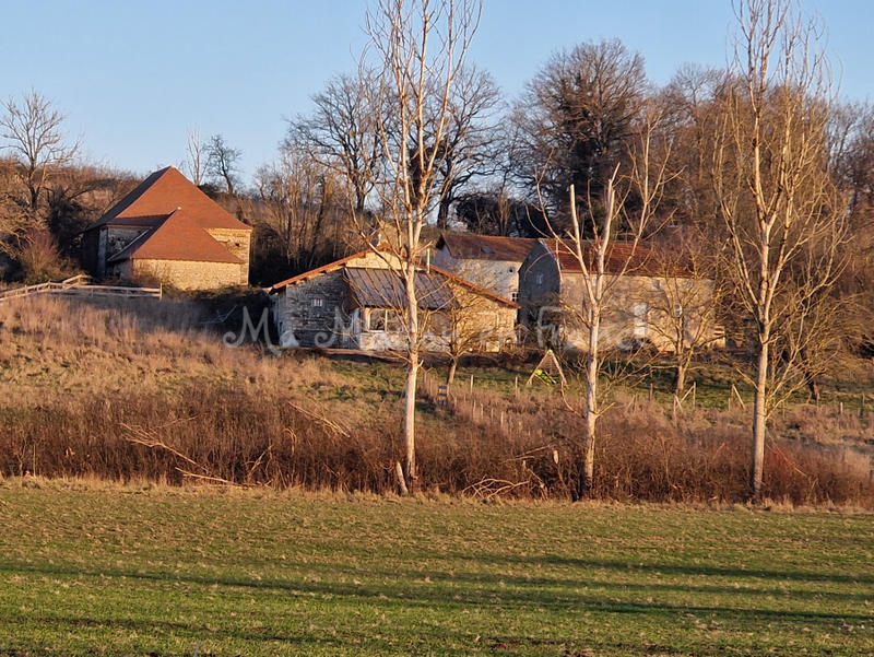 Maison - 367 m² - 13 pièces