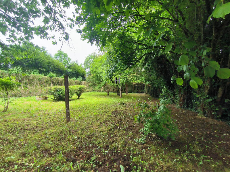 Maison - 59 m² - 2 pièces