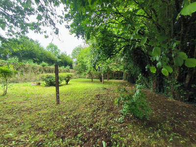 Maison - 59 m² - 2 pièces