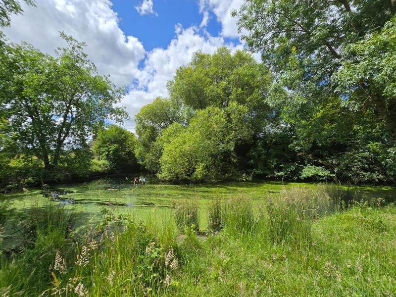 Maison - 220 m² - 5 pièces