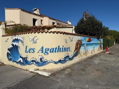 Appartement - 30 m² - 2 pièces