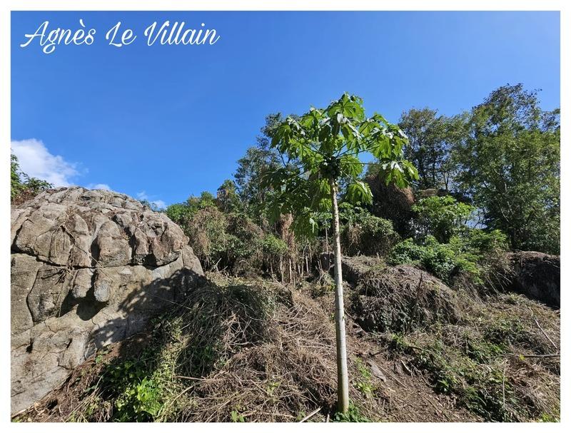 Terrain constructible - 1 041 m²