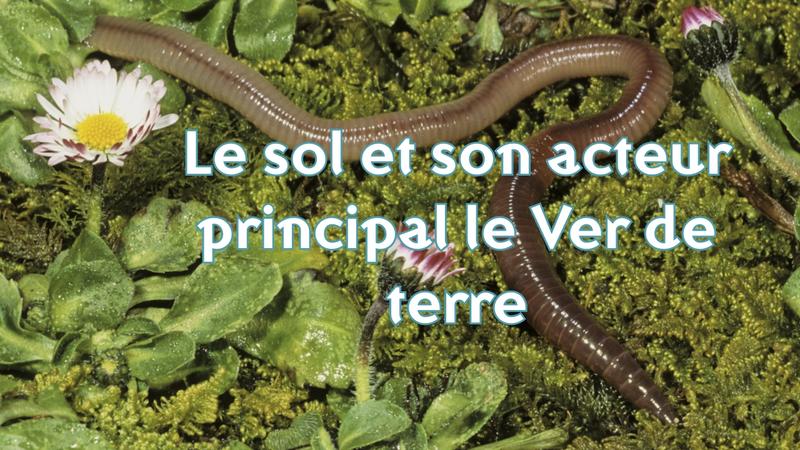Conférence sur le sol et son acteur principal le Ver de terre