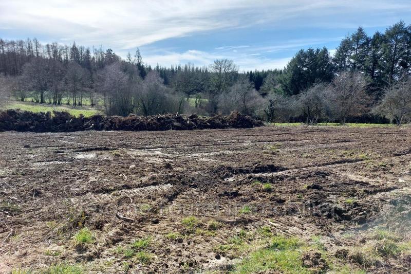 Terrain constructible - 1 590 m²