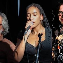 Les Musiques à Ouïr - Virtuale Virtuoso