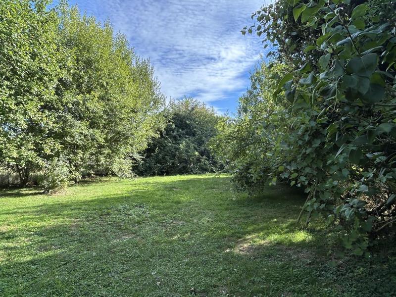 Terrain - 580 m²
