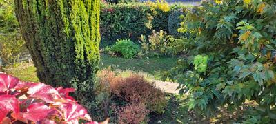 Propriété - 250 m² - 9 pièces