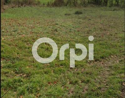 Terrain constructible - 1 270 m²