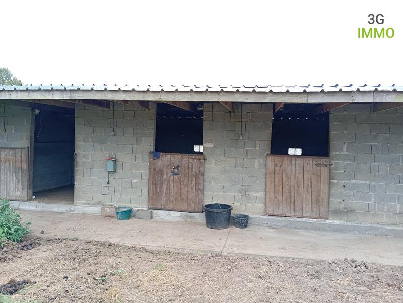 Maison - 38 m² - 2 pièces