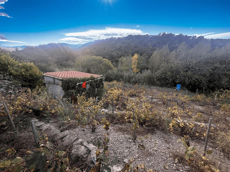 Terrain agricole - 15 m²