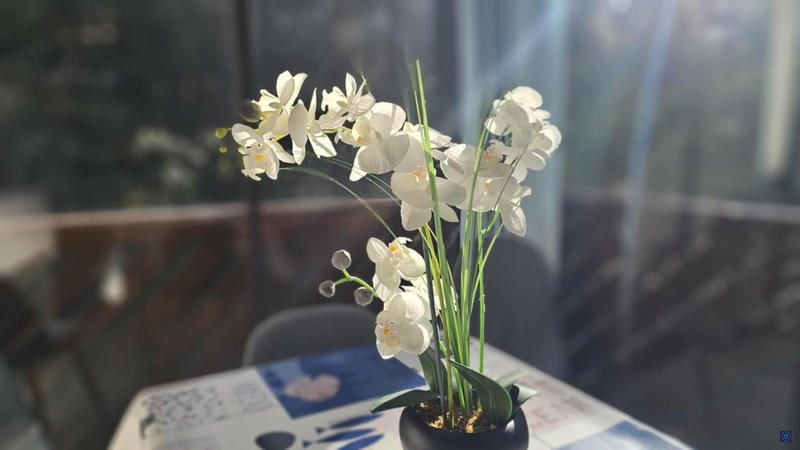 Appartement - 31 m² - 2 pièces