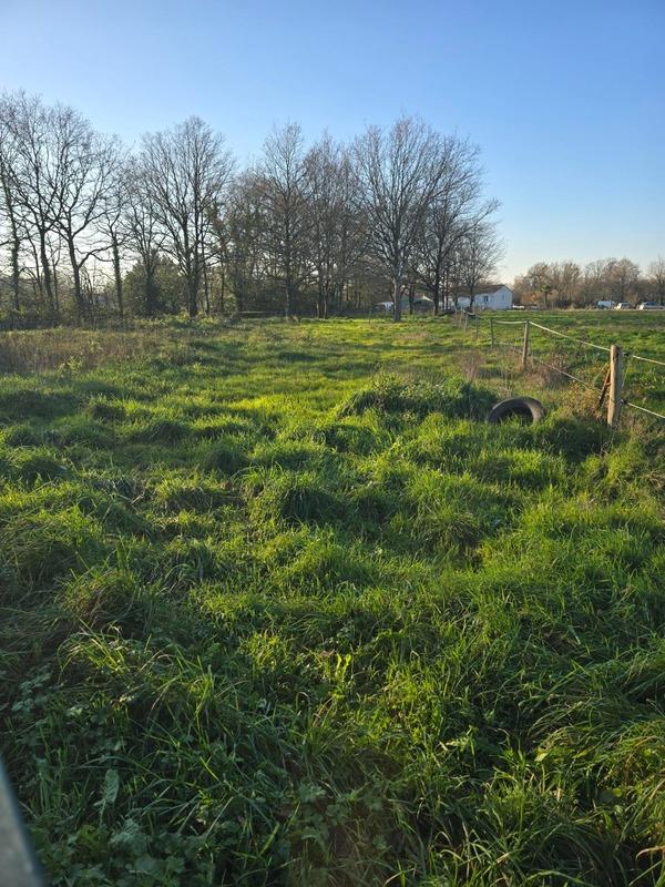 Maison - 165 m² - 5 pièces