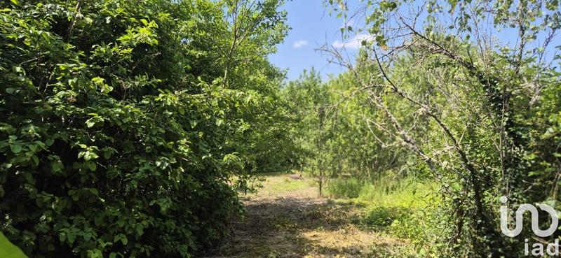 Maison - 105 m² - 7 pièces