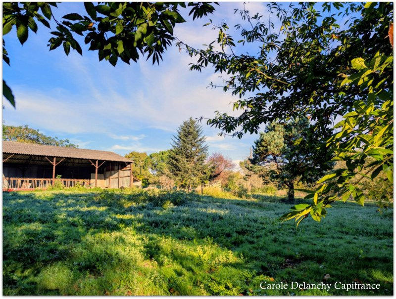 Maison - 200 m² - 8 pièces