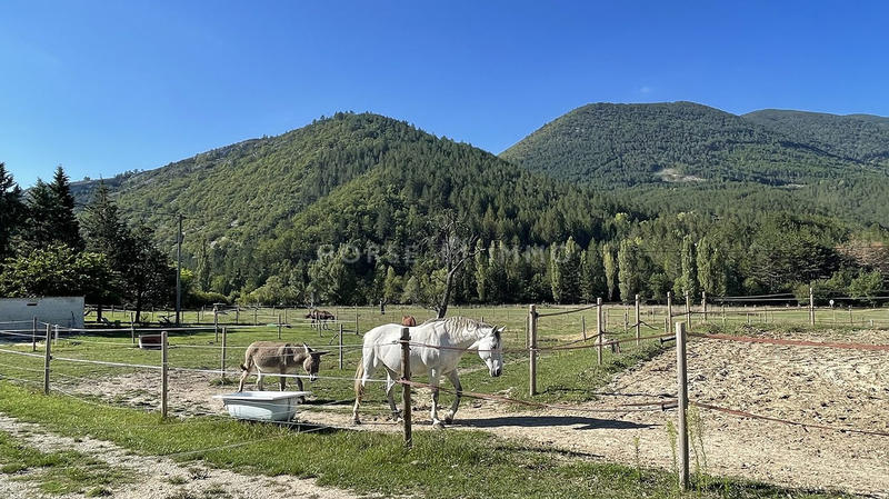 Maison chambre d'hôtes - 600 m² - 10 pièces