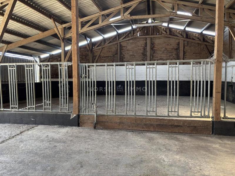 Maison - 310 m² - 7 pièces