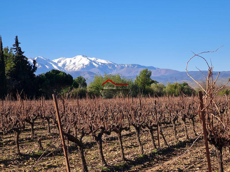 Terrain agricole - 5 730 m²