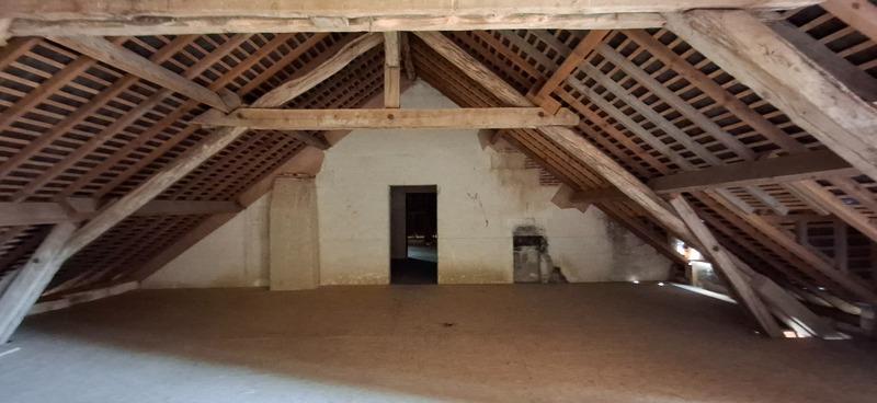 Château - 1 800 m² - 30 pièces