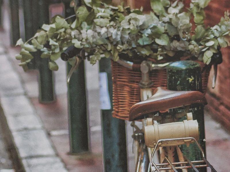 Halle &amp; Arts : Matinée Rencontre