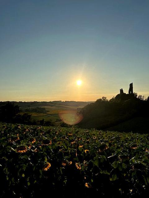 Maison - 400 m² - 8 pièces