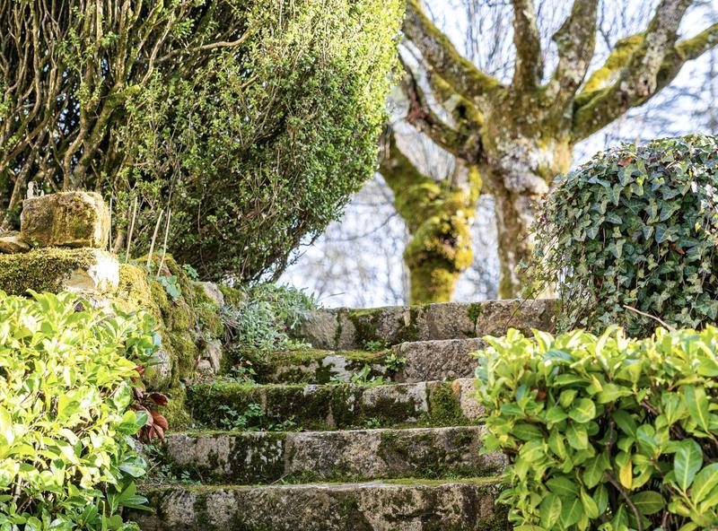 Château - 1 300 m² - 21 pièces