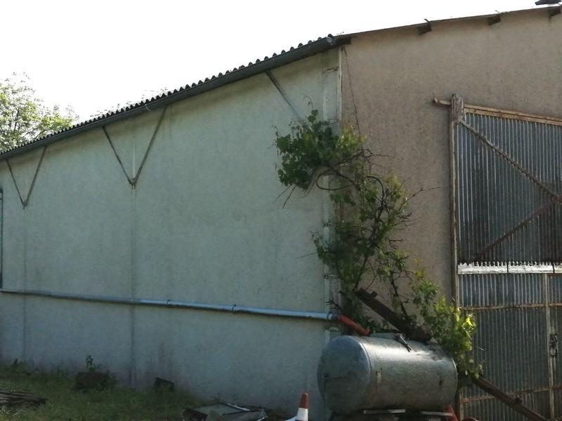 Propriété - 1 pièce