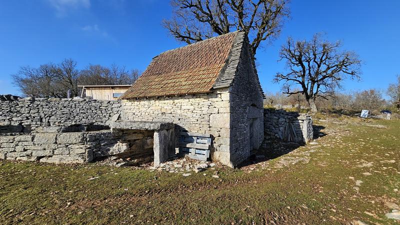 Terrain - 80 524 m²