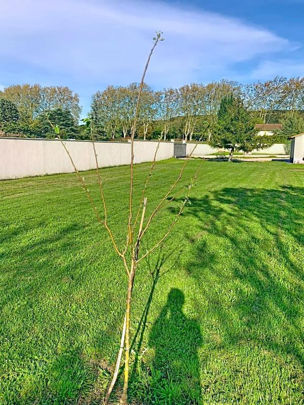 Villa - 110 m² - 4 pièces