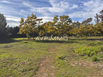 Terrain - 2 000 m²