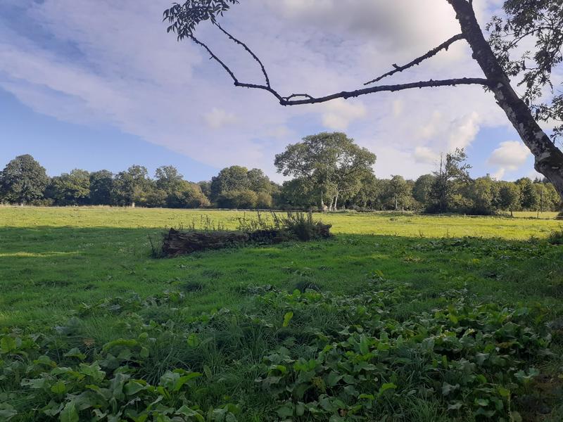 Maison - 200 m² - 6 pièces