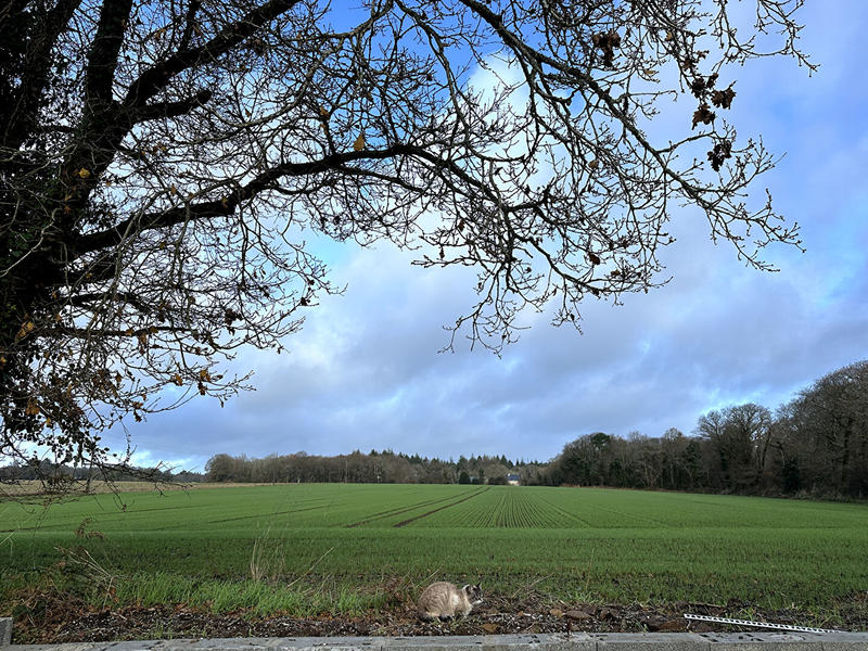 Maison - 118 m² - 3 pièces