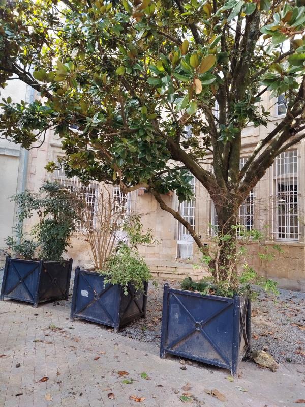 Appartement - 35 m² - 1 pièce