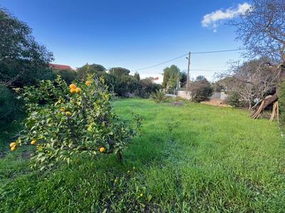 Terrain constructible - 434 m²