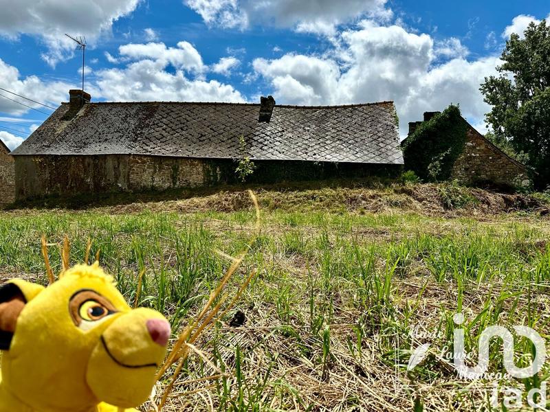 Maison - 26 m² - 1 pièce