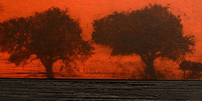 Exposition - la gravure dans tous ses états