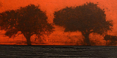 Exposition - la gravure dans tous ses états