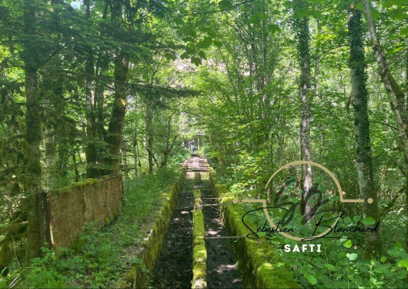 Immeuble - 1 495 m²