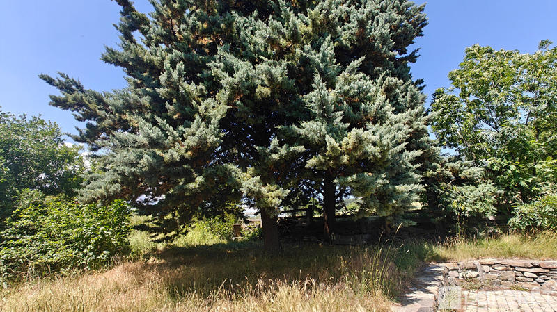 Maison - 156 m² - 5 pièces