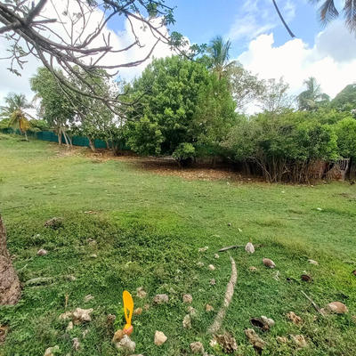 Terrain constructible - 1 043 m²