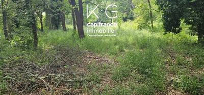 Terrain constructible - 4 208 m²